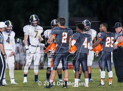 Thumbnail 1 in Steinbrenner @ Plant City photogallery.