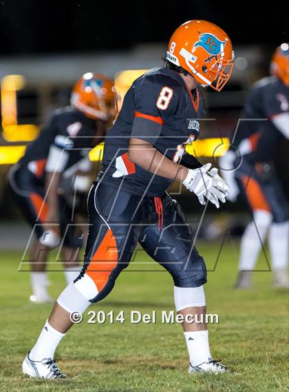 Thumbnail 1 in Steinbrenner @ Plant City photogallery.