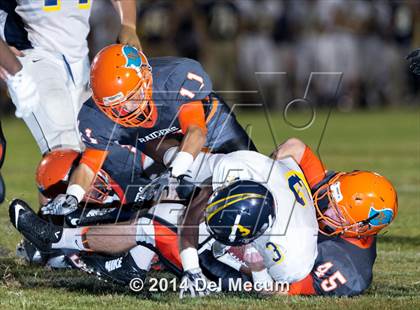 Thumbnail 2 in Steinbrenner @ Plant City photogallery.