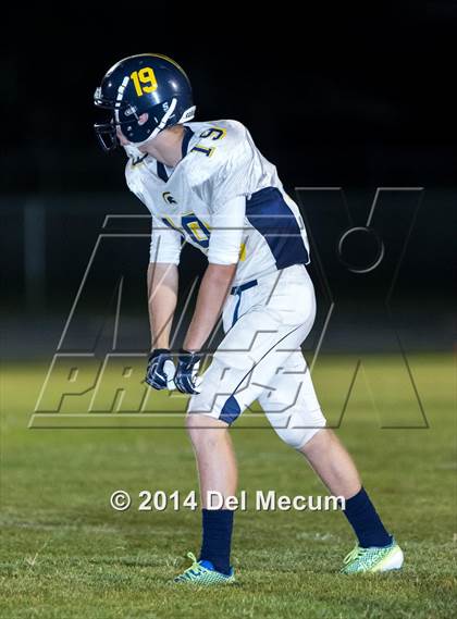 Thumbnail 1 in Steinbrenner @ Plant City photogallery.