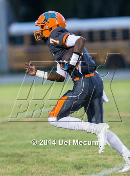 Thumbnail 1 in Steinbrenner @ Plant City photogallery.