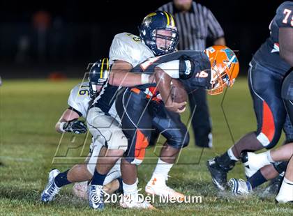 Thumbnail 2 in Steinbrenner @ Plant City photogallery.