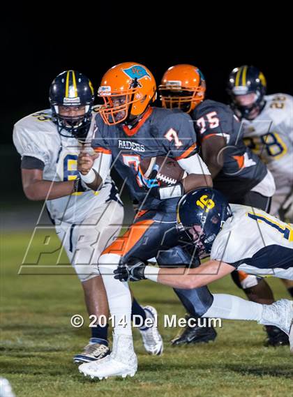 Thumbnail 2 in Steinbrenner @ Plant City photogallery.