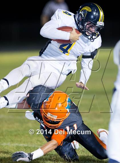 Thumbnail 2 in Steinbrenner @ Plant City photogallery.