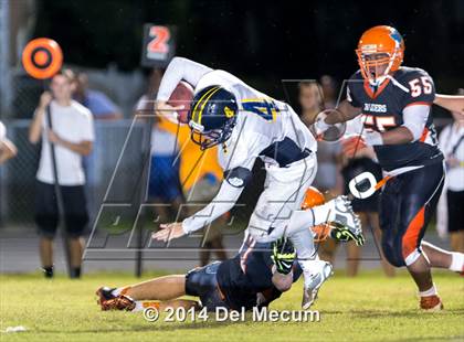Thumbnail 3 in Steinbrenner @ Plant City photogallery.