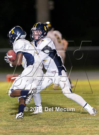 Thumbnail 1 in Steinbrenner @ Plant City photogallery.