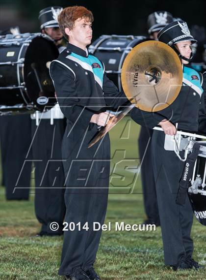 Thumbnail 1 in Steinbrenner @ Plant City photogallery.