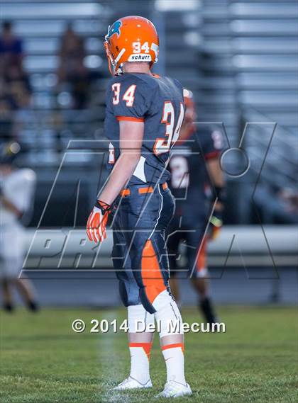 Thumbnail 2 in Steinbrenner @ Plant City photogallery.