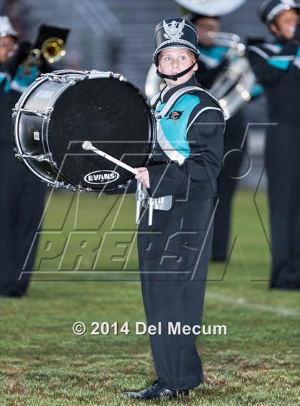 Thumbnail 2 in Steinbrenner @ Plant City photogallery.