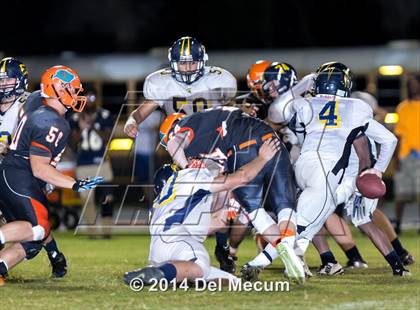 Thumbnail 3 in Steinbrenner @ Plant City photogallery.