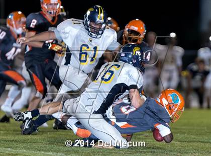 Thumbnail 1 in Steinbrenner @ Plant City photogallery.