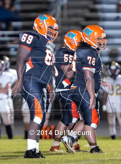 Thumbnail 1 in Steinbrenner @ Plant City photogallery.