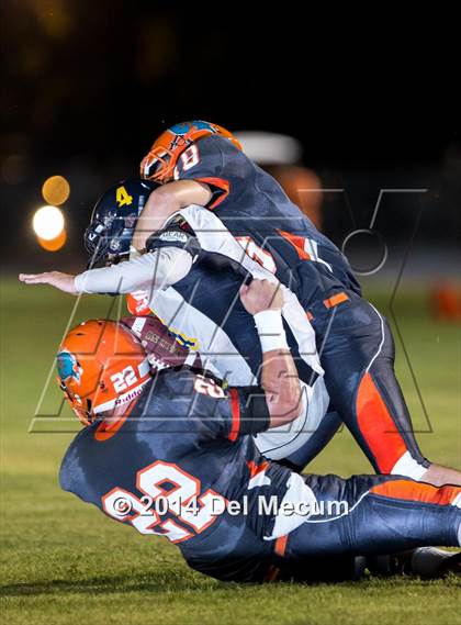 Thumbnail 2 in Steinbrenner @ Plant City photogallery.