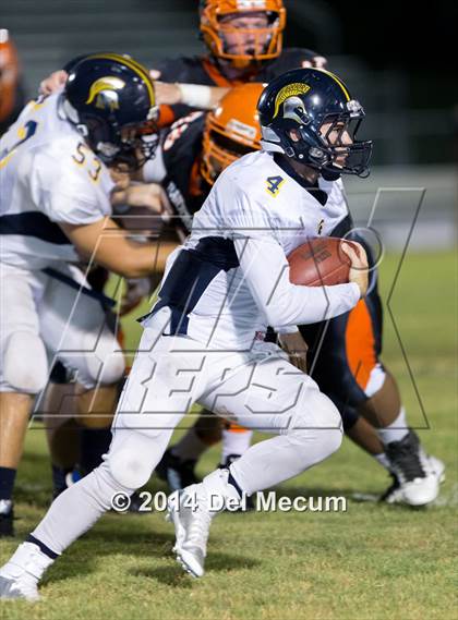 Thumbnail 1 in Steinbrenner @ Plant City photogallery.