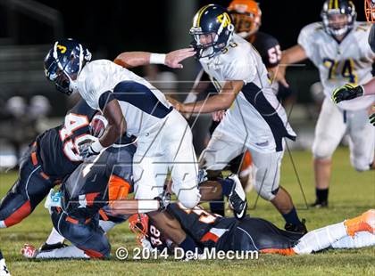Thumbnail 2 in Steinbrenner @ Plant City photogallery.