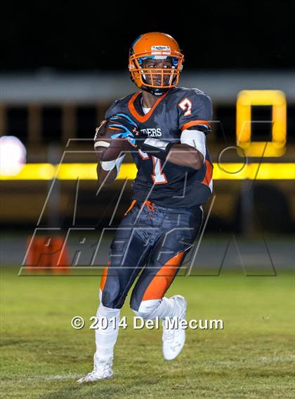 Thumbnail 3 in Steinbrenner @ Plant City photogallery.