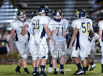 Thumbnail 2 in Steinbrenner @ Plant City photogallery.