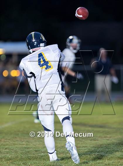 Thumbnail 2 in Steinbrenner @ Plant City photogallery.