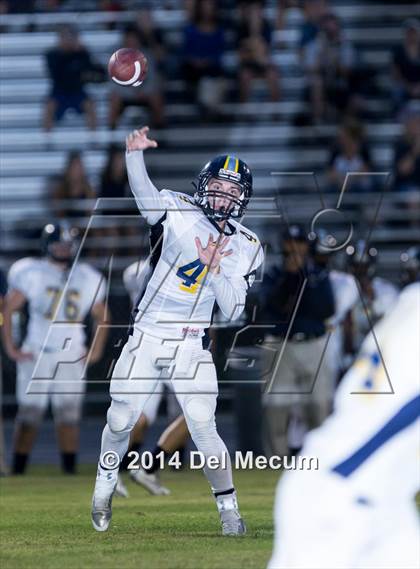 Thumbnail 2 in Steinbrenner @ Plant City photogallery.