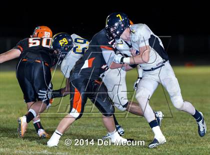 Thumbnail 3 in Steinbrenner @ Plant City photogallery.