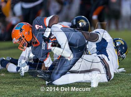 Thumbnail 2 in Steinbrenner @ Plant City photogallery.