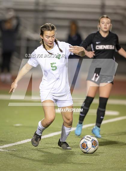 Thumbnail 1 in Canyon del Oro @ Cienega photogallery.