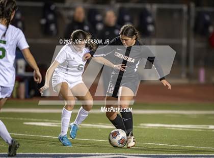 Thumbnail 3 in Canyon del Oro @ Cienega photogallery.
