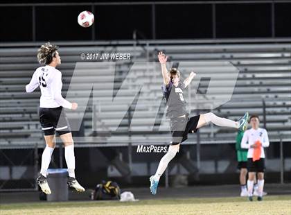 Thumbnail 1 in Mitchell @ Wiregrass Ranch photogallery.