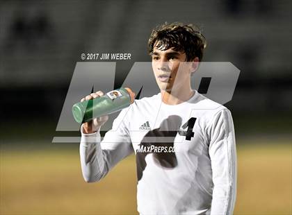 Thumbnail 3 in Mitchell @ Wiregrass Ranch photogallery.