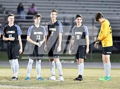 Thumbnail 3 in Mitchell @ Wiregrass Ranch photogallery.