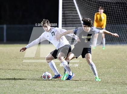 Thumbnail 1 in Mitchell @ Wiregrass Ranch photogallery.