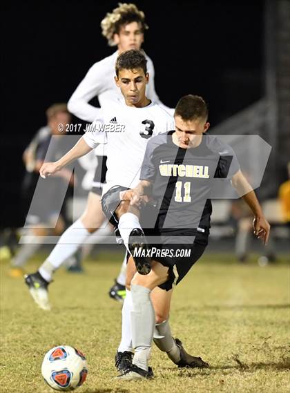 Thumbnail 2 in Mitchell @ Wiregrass Ranch photogallery.