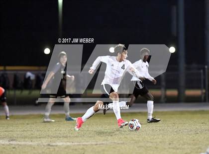 Thumbnail 3 in Mitchell @ Wiregrass Ranch photogallery.