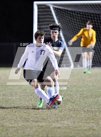 Thumbnail 3 in Mitchell @ Wiregrass Ranch photogallery.