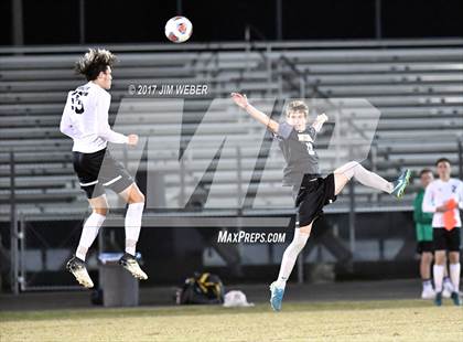 Thumbnail 2 in Mitchell @ Wiregrass Ranch photogallery.