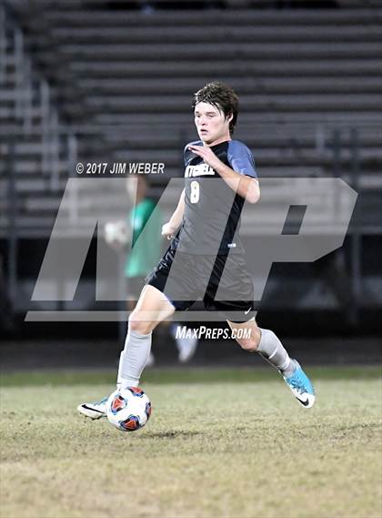 Thumbnail 3 in Mitchell @ Wiregrass Ranch photogallery.