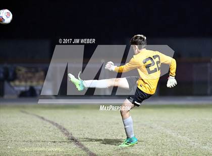 Thumbnail 3 in Mitchell @ Wiregrass Ranch photogallery.