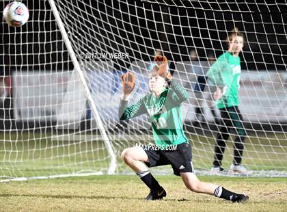 Thumbnail 3 in Mitchell @ Wiregrass Ranch photogallery.
