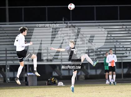 Thumbnail 3 in Mitchell @ Wiregrass Ranch photogallery.