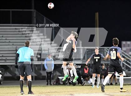 Thumbnail 3 in Mitchell @ Wiregrass Ranch photogallery.
