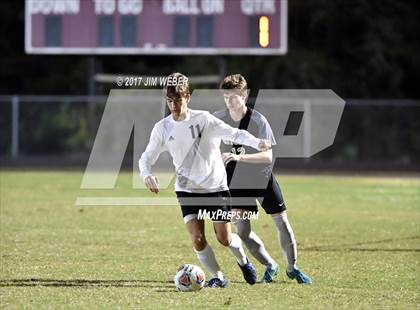 Thumbnail 2 in Mitchell @ Wiregrass Ranch photogallery.