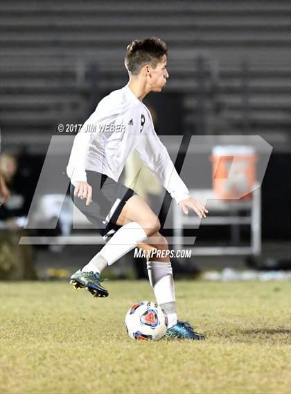 Thumbnail 3 in Mitchell @ Wiregrass Ranch photogallery.