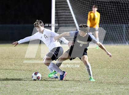 Thumbnail 2 in Mitchell @ Wiregrass Ranch photogallery.