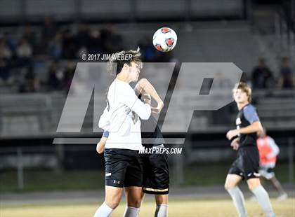 Thumbnail 3 in Mitchell @ Wiregrass Ranch photogallery.