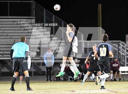 Thumbnail 1 in Mitchell @ Wiregrass Ranch photogallery.