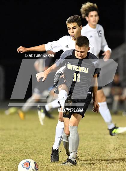 Thumbnail 3 in Mitchell @ Wiregrass Ranch photogallery.