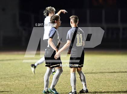 Thumbnail 1 in Mitchell @ Wiregrass Ranch photogallery.
