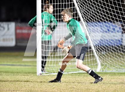 Thumbnail 2 in Mitchell @ Wiregrass Ranch photogallery.