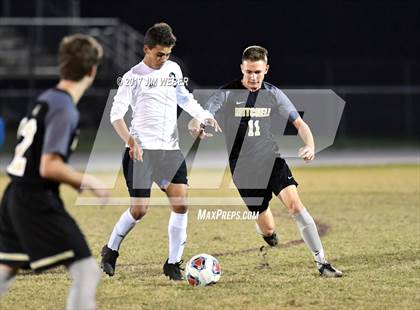 Thumbnail 3 in Mitchell @ Wiregrass Ranch photogallery.