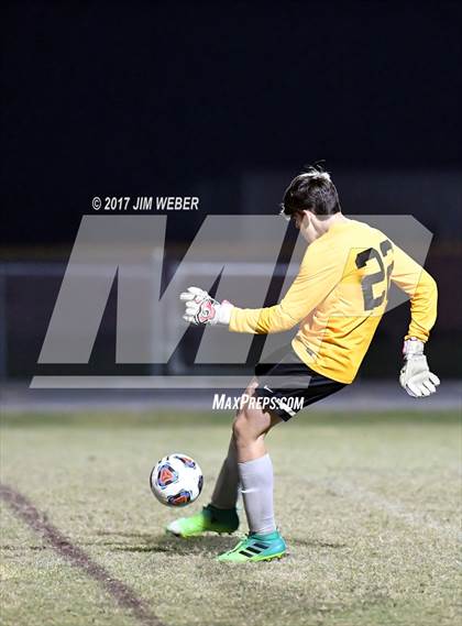 Thumbnail 2 in Mitchell @ Wiregrass Ranch photogallery.